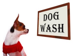 dog-wash-sign-showing-canine-grooming-washing-or-shampoo_M1rKkrw_