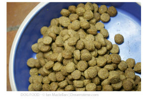 dog_food_bowl_dreamstime