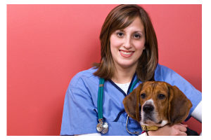 veterinarian_2_microsoft